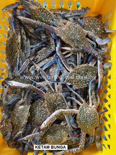 Ketam Bunga 