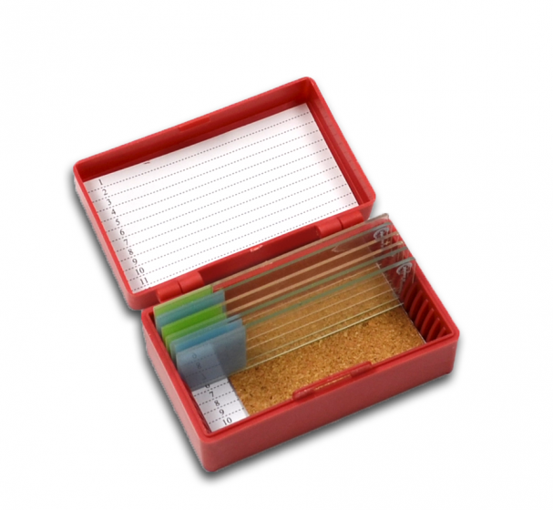 Storage Boxes For Microscope Slides (12, 50, And 100 Slide Capacity)