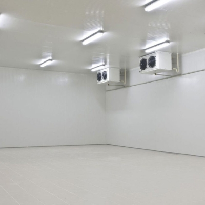 Polyurethane Insulated Cold Room / Controlled-Temperature Room