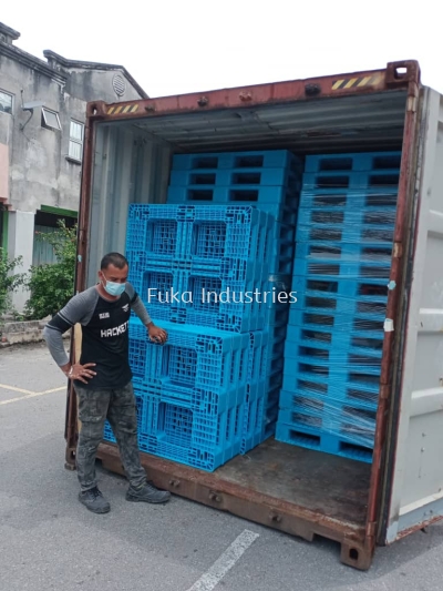 Used Plastic Pallet