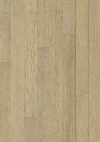 Creamy Oak, Plank (W3046-04856-P)