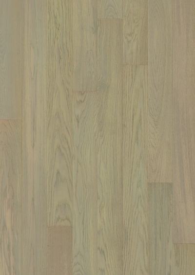 Dove Grey Oak, Plank (W3046-04867-P)