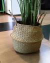 Rattan Basket (1) Artificial Plant (Sell & Rent)