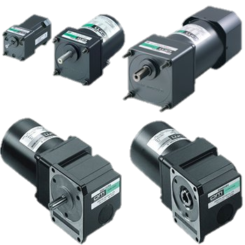 AC Induction Gear Motor