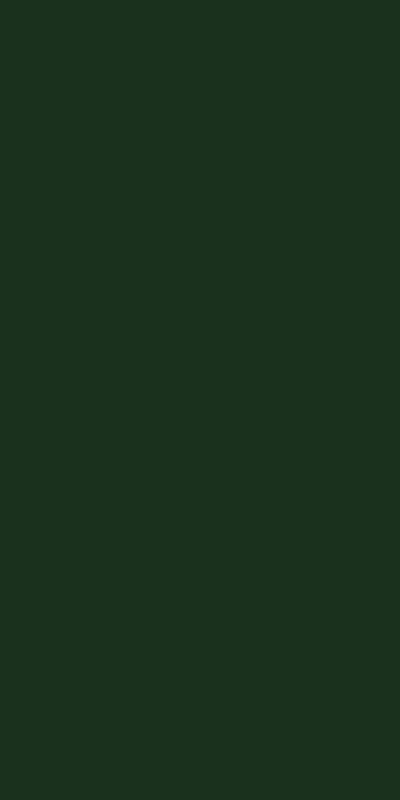 A3-5194   Dark Green