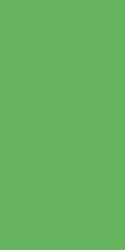 A2-5071   Vibrant Green