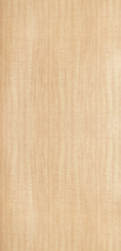 Melamine Skin Pattern : B1-8003   Sycamore