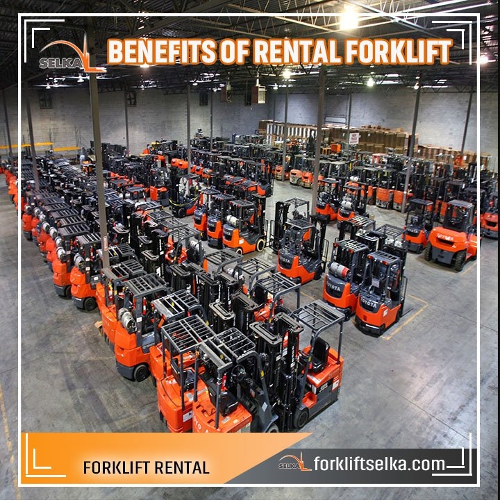 High quality forklift for rental