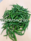 Chili Padi Green Сཷ Fresh Vegetable