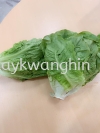 Romaine Lettuce  Fresh Vegetable