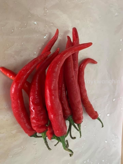 Red Chili 