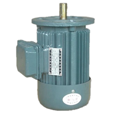 Induction Motor (Flange Mount)