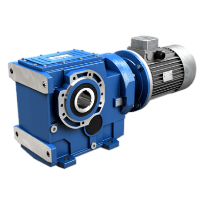 Worm Gear Motor