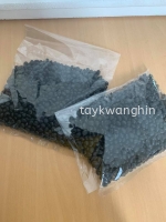 Kacang Hitam ºÚ¶¹