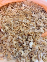 Udang Kering ϺÃ×