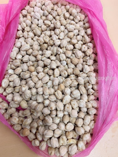 Kacang Kuda 