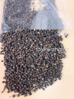 Black Pepper Seeds ºÚºú½·Á£(100g)