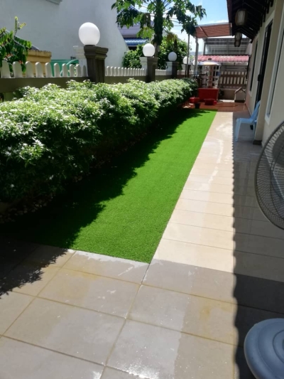 Artificial Grass