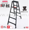 RZB SERIES HASEGAWA LADDER