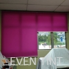 Colourful roller blinds Roller Blinds