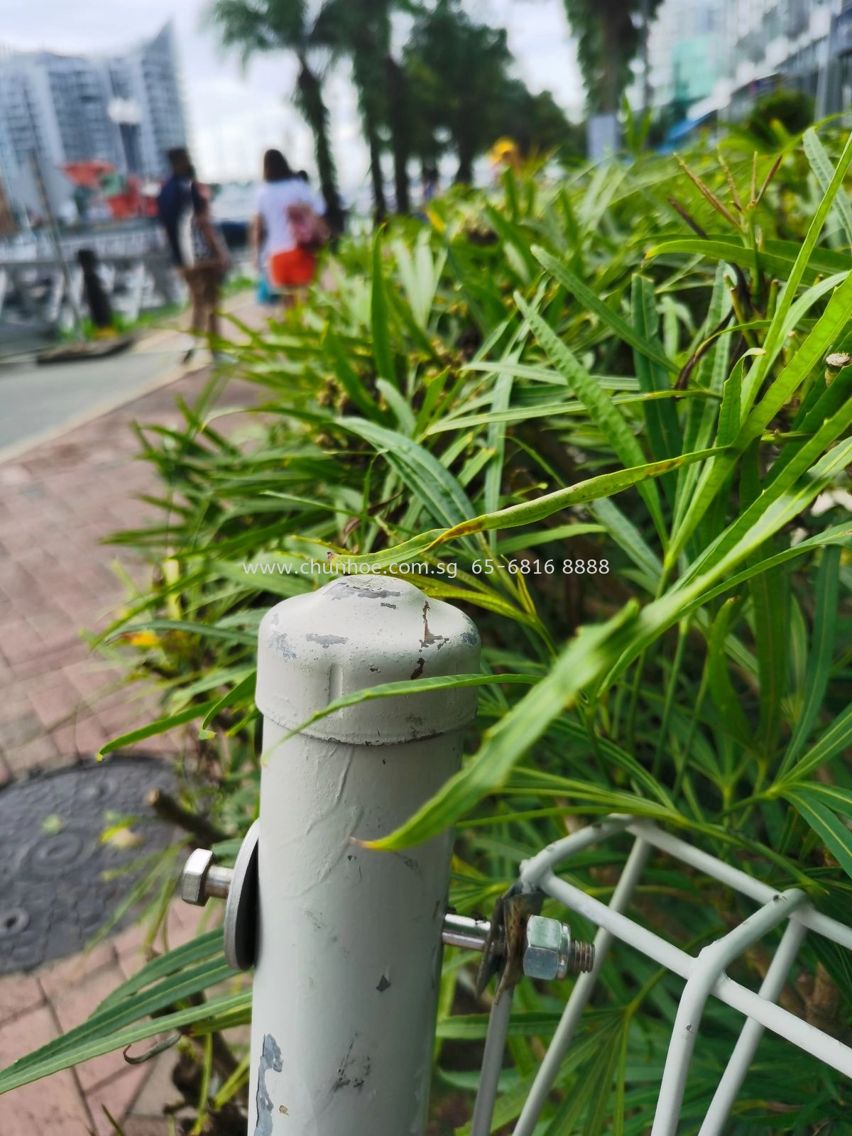 Brc fence post Gi pipe Singapore 