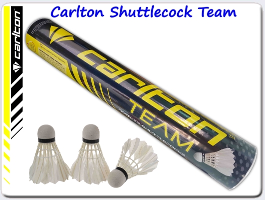 Carlton Shuttlecock Team