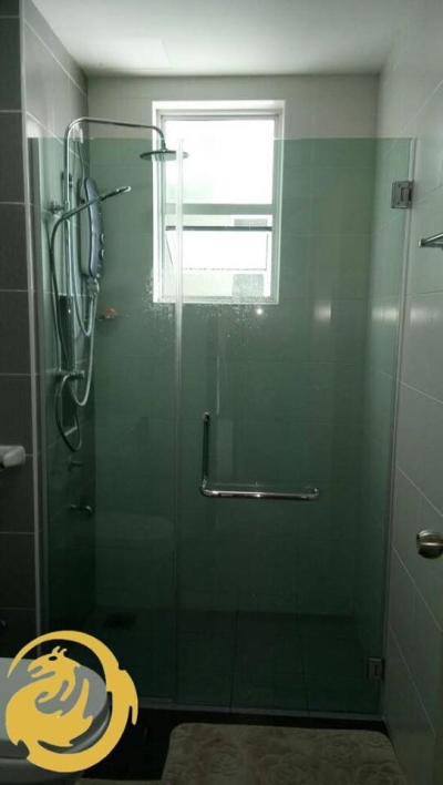 Shower Screen