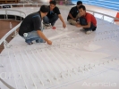 Project (U Mobile) Signboard