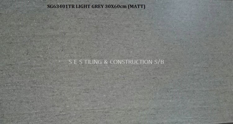 SG63401TR LIGHT GREY (30X60cm) MATT