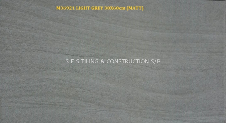 M36921 LIGHT GERY (30X60cm) MATT