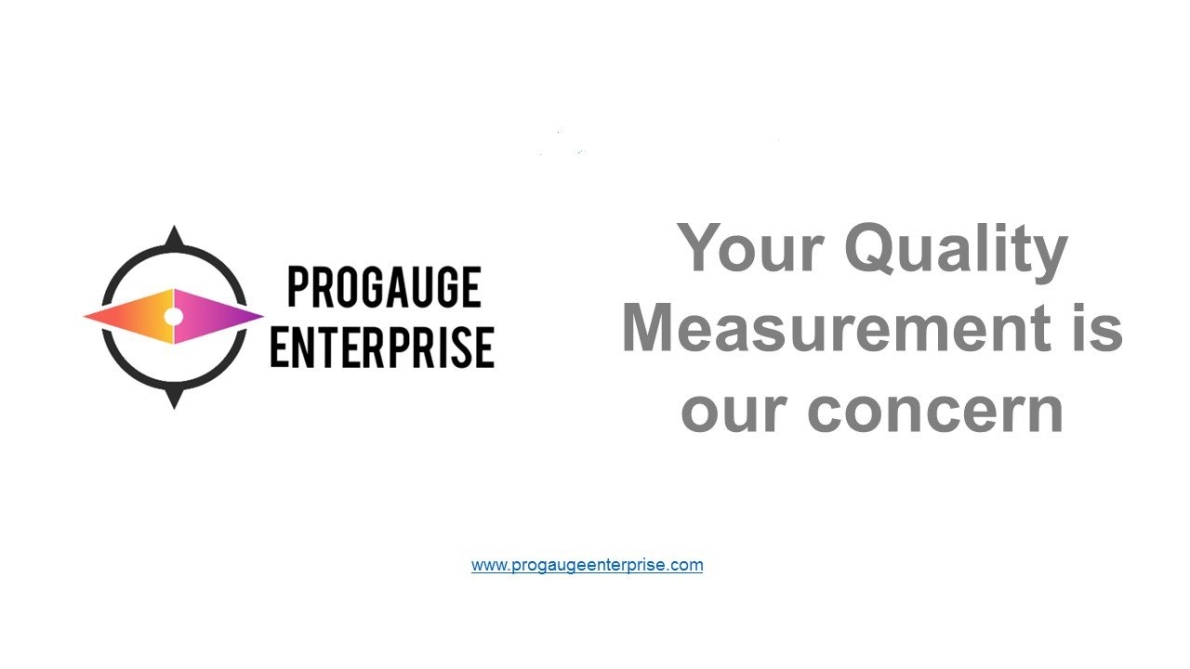 Progauge Enterprise Company Profile