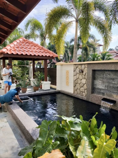 Koi pond at Sutera 