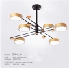 7570-6 Pendant Light DESIGNER PENDANT LIGHT