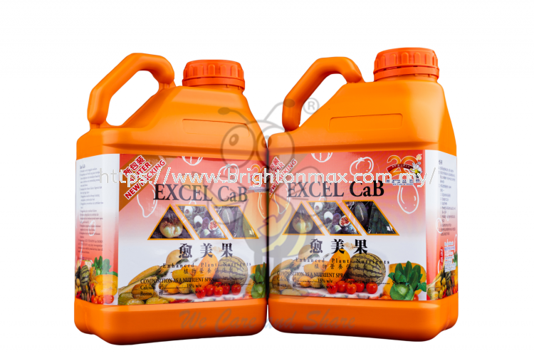 Excel CaB (5L)