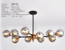 7557-10 DESIGNER PENDANT LIGHT