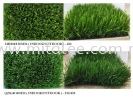  Sample Grass Carpet