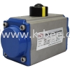 Pneumatic Actuator Actuator BSK Automation Valve