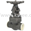 Globe Valve Socket Weld , Thread End Globe Valve BSK Globe Valve