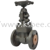 Globe Valve Flange End Globe Valve BSK Globe Valve