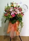 Lily Daisy Grand Opening CA230 floristkl Grand Opening Flower Arrangement Congratulations Arrangement