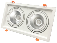 Led Adjustable Downlight 2x12w