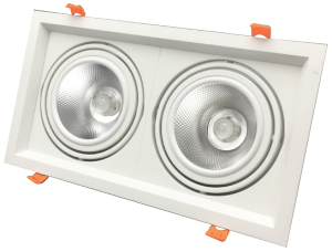 Led Adjustable Downlight 2x12w