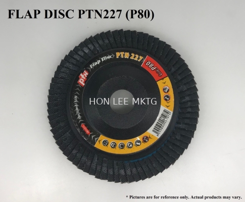 FLAP DISC PTN227 (P80)