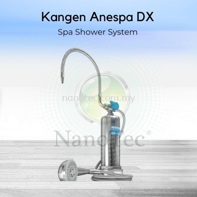 Anespa Home Spa Shower System