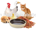 Animals Food Soil Plate - Hand Made ClayPot & CoalPot Hand Made  