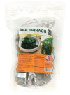 Sea Spinach SEAWEED