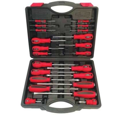 SP TOOLS SCREWDRIVER SET - 22PC T834025