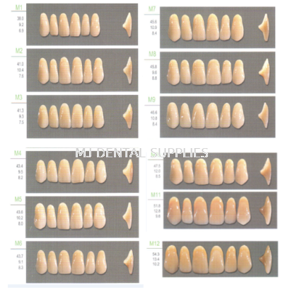 KAILI ACRYLIC TEETH 2 LAYERS - UPPER ANTERIOR, M SERIES