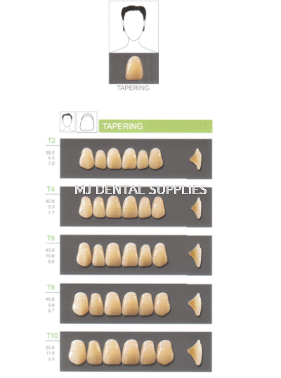 KAILI ACRYLIC TEETH 2 LAYERS - UPPER ANTERIOR, TAPERING