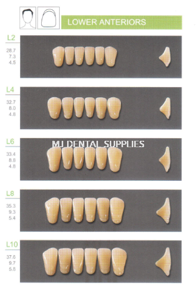 KAILI ACRYLIC TEETH 2 LAYERS - LOWER ANTERIOR, L SERIES